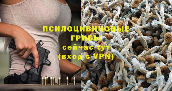 марки nbome Алзамай