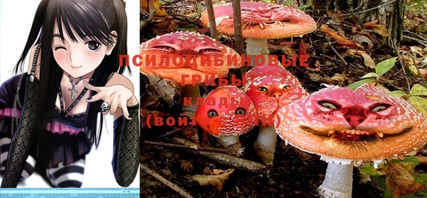 марки nbome Алзамай